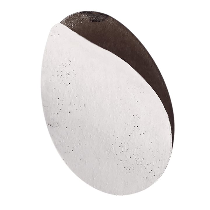 Refill pads for pedicure disc M 240 grit ( 50 pc )