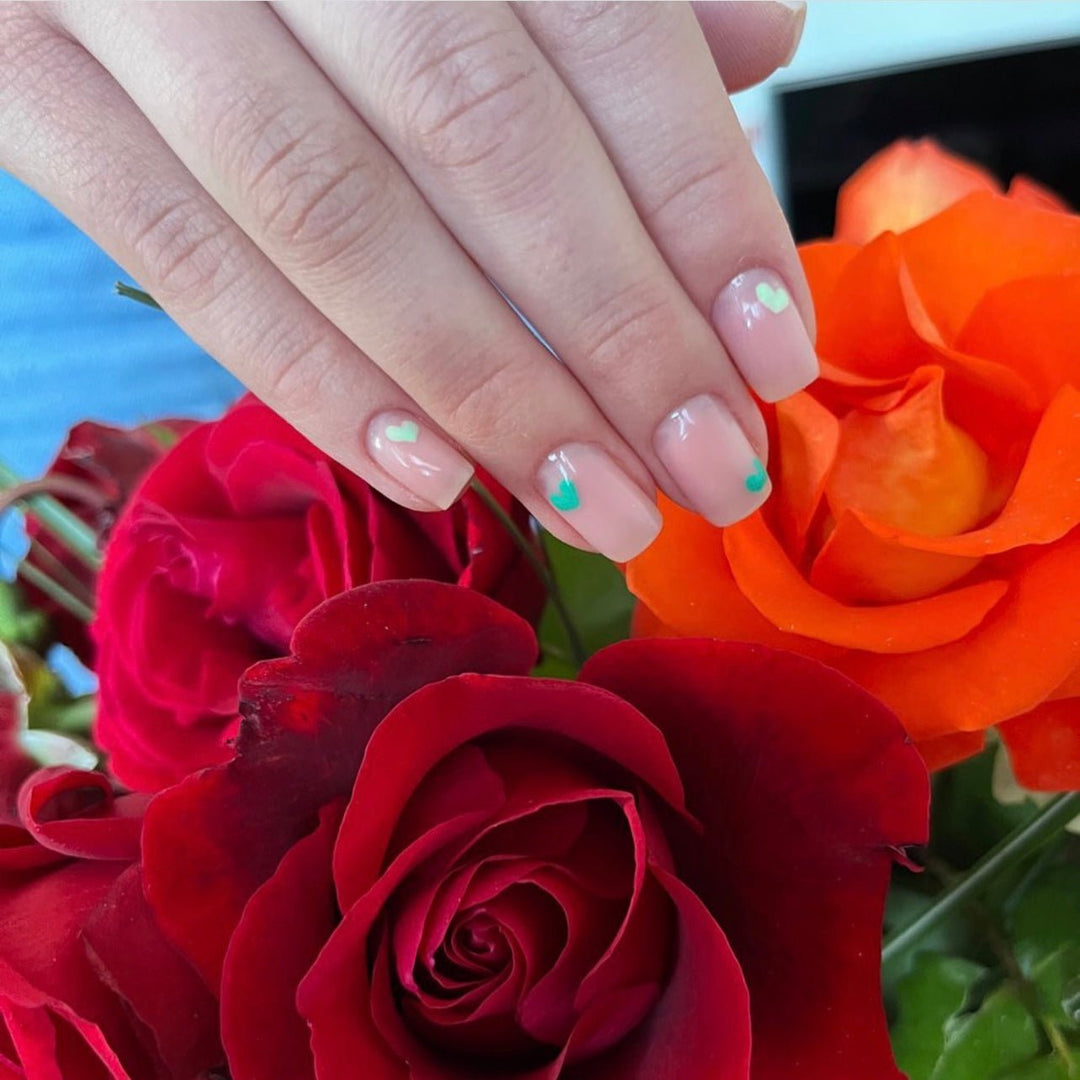 Powder Blush ( 30g; 50g )