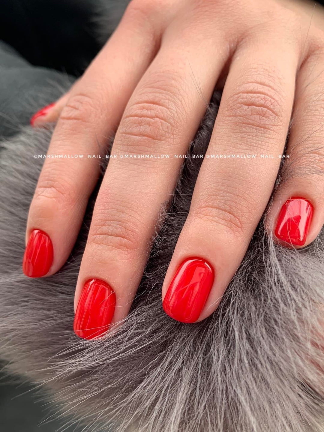 002 - Real Red - 15ml